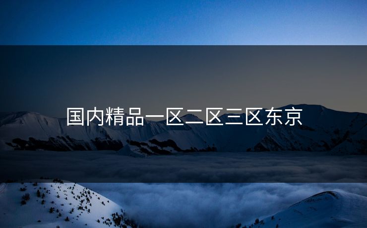 国内精品一区二区三区东京