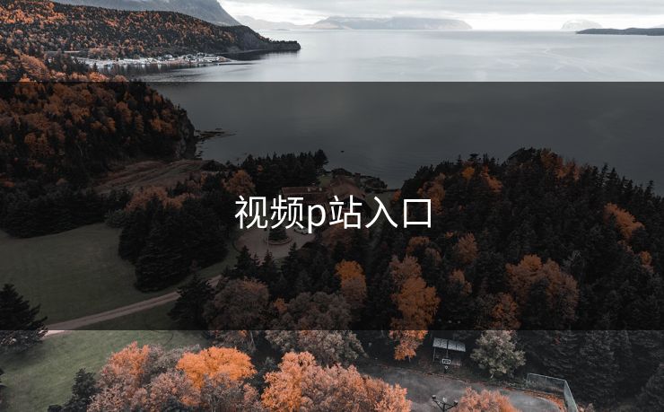 视频p站入口